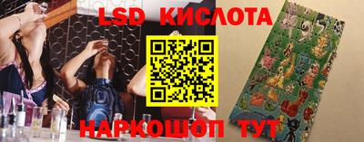 амф Новодвинск