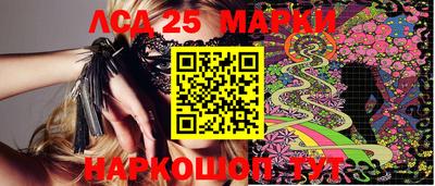 амф Новодвинск