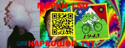 гидра Новозыбков