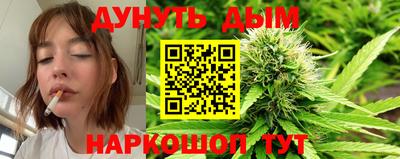 амф Новодвинск