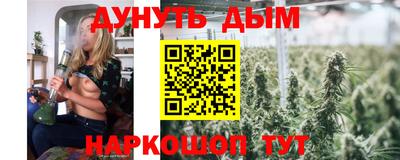 амф Новодвинск