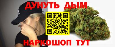 гидра Новозыбков