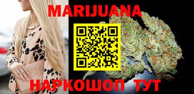 амф Новодвинск