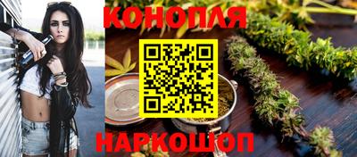 гидра Новозыбков