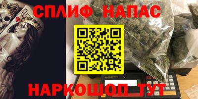 гидра Новозыбков