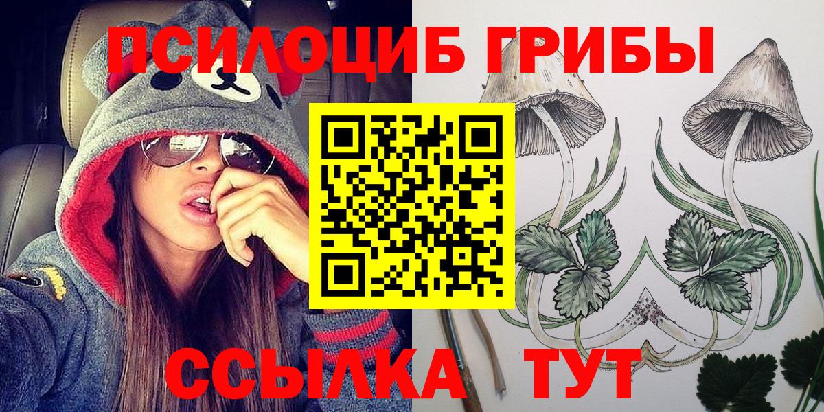 Псилоцибиновые грибы мицелий  Псилоцибиновые грибы ЛСД  Тайшет  Вход с VPN 